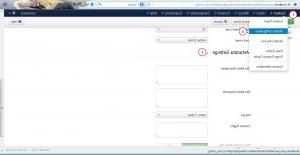 Joomla 3.x. How to insert website, category and article meta data-1