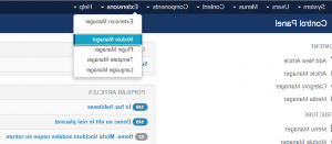 Joomla_3.x._How_to_get_rid_of_Olark_chat_feature